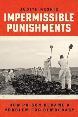Impermissible Punishments: How Prison Became a Problem for Democracy