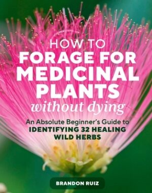 How to Forage for Medicinal Plants Without Dying: An Absolute Beginner's Guide to Identifying 32 Healing Wild Herbs