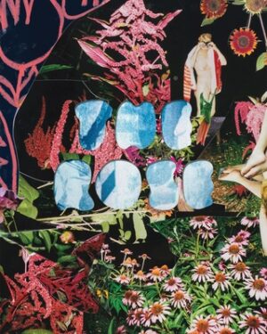 The Rose: A Circular Genealogy of Collage: Curated by Justine Kurland