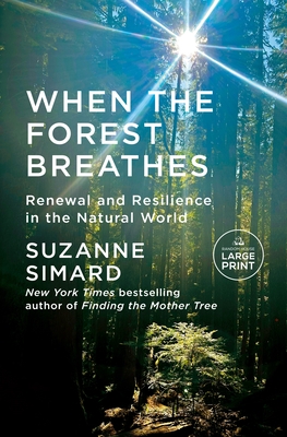 When the Forest Breathes: Renewal and Resilience in the Natural World