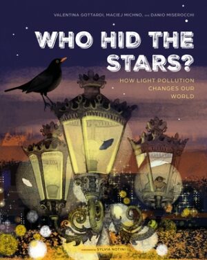 Who Hid the Stars?: How Light Pollution Changes Our World