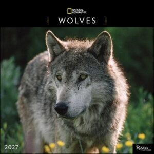 National Geographic: Wolves 2027 Wall Calendar