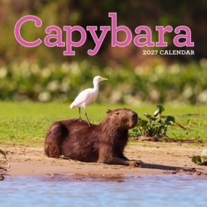 Capybara Wall Calendar 2027: A Happy, Capy Year