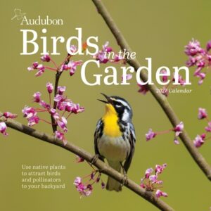 Audubon Birds in the Garden Wall Calendar 2027: Use Native Plants to Attract Birds and Pollinators to Your Backyard