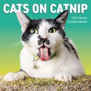 Cats on Catnip Wall Calendar 2027: A Year of Cats Living the High Life