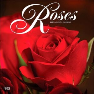 Roses 2027 12 X 24 Inch (Hanging) Monthly Square Wall Calendar Plastic-Free