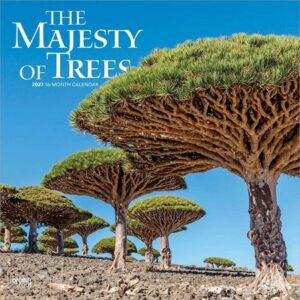 The Majesty of Trees 2027 12 X 24 Inch (Hanging) Monthly Square Wall Calendar Plastic-Free