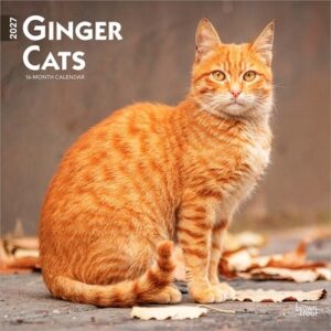 Ginger Cats 2027 12 X 24 Inch (Hanging) Monthly Square Wall Calendar Plastic-Free