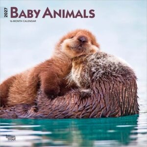 Baby Animals 2027 12 X 24 Inch (Hanging) Monthly Square Wall Calendar Plastic-Free