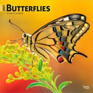 Butterflies 2027 12 X 24 Inch (Hanging) Monthly Square Wall Calendar Plastic-Free