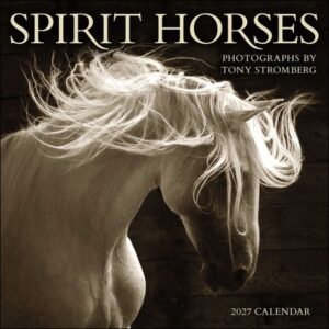 Spirit Horses 2027 Wall Calendar by Tony Stromberg