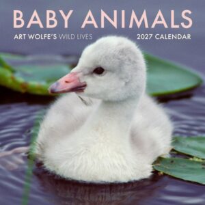 2027 Baby Animals Wall Calendar: Art Wolfe's Wild Lives