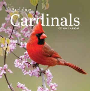Audubon Cardinals Mini Wall Calendar 2027