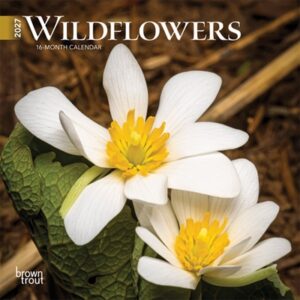 Wildflowers 2027 7 X 14 Inch (Hanging) Monthly Mini Wall Calendar