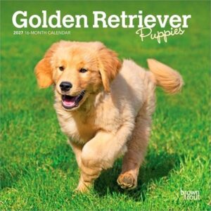 Golden Retriever Puppies 2027 7 X 14 Inch (Hanging) Monthly Mini Wall Calendar