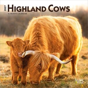 Highland Cows 2027 7 X 14 Inch (Hanging) Monthly Mini Wall Calendar
