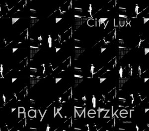 Ray K. Metzker: City Lux
