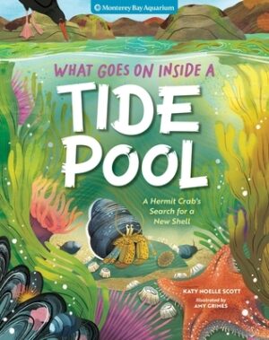 What Goes on Inside a Tide Pool: A Hermit Crab's Search for a New Shell