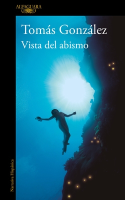 Vista del Abismo / View from the Abyss