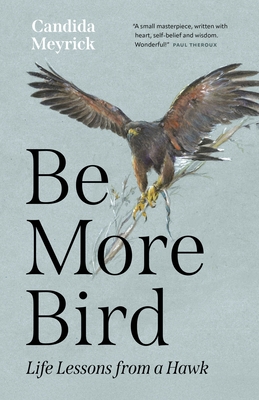 Be More Bird: Life Lessons from a Hawk